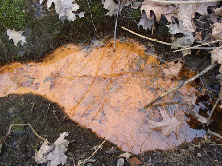 Iron bacteria in runoff