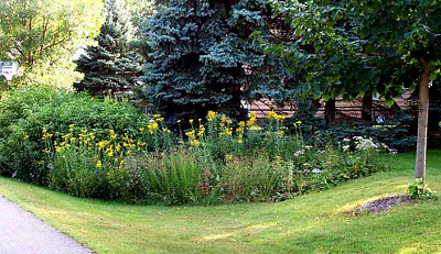 swale side yard