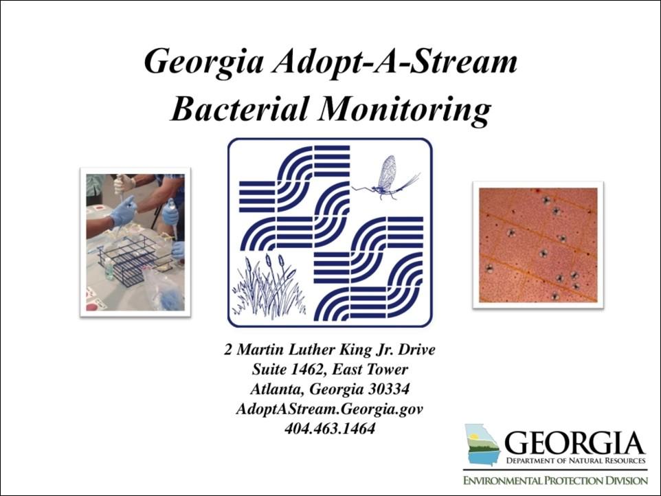 Title slide of bacterial presentation
