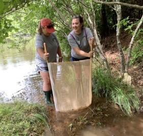 Volunteer using a kick seine net to collect macroinvertebrates