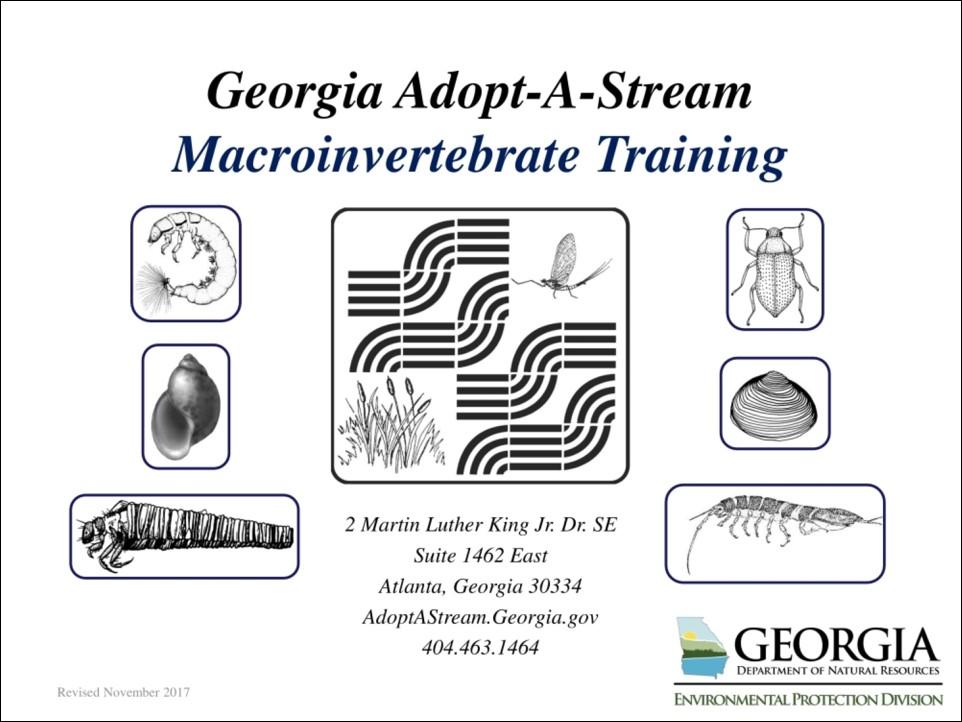 Title slide of macroinvertebrate presentation 