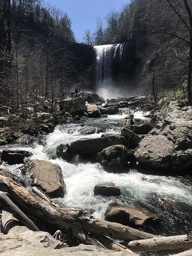 waterfall and stream