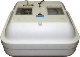 Incubator