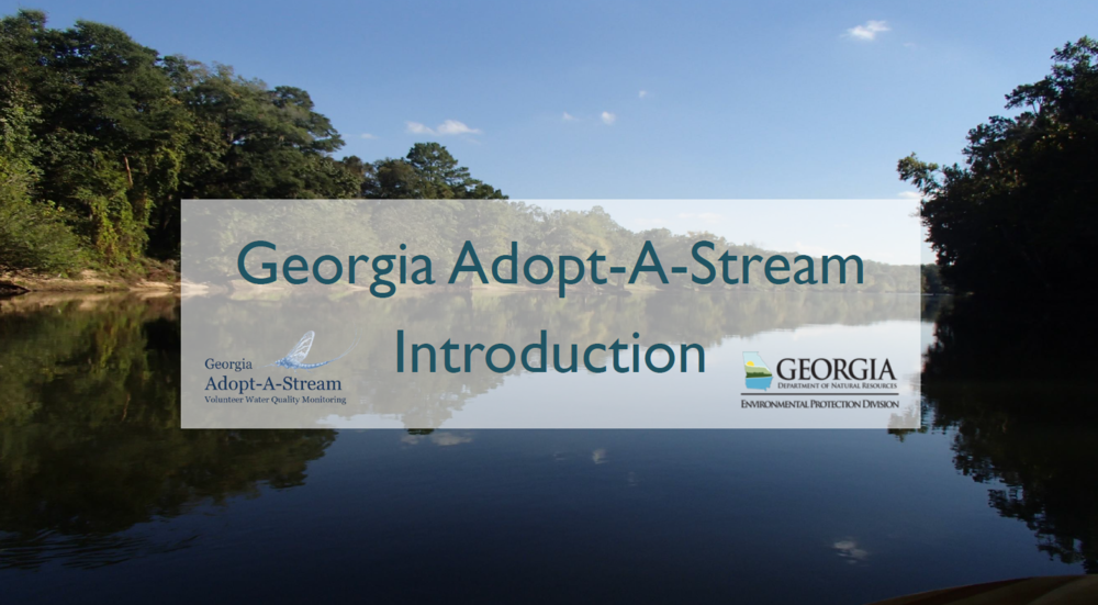 intro ppt header slide