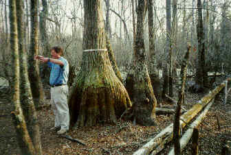 Wetland Monitoring wetland4_Golladay.jpg
