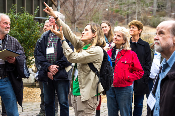 Confluence 2018 field session